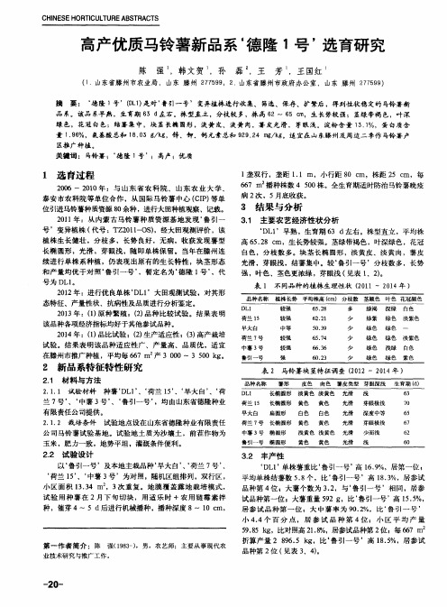 高产优质马铃薯新品系‘德隆1号’选育研究