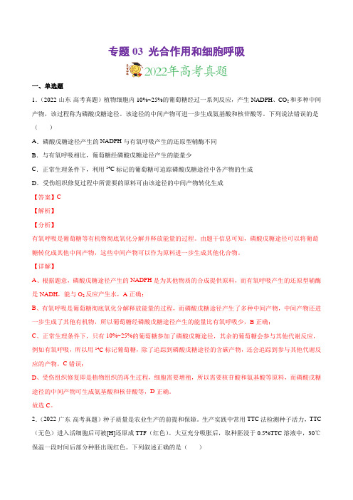 专题03 光合作用和细胞呼吸-三年(2020-2022)高考真题生物分项汇编(解析版)