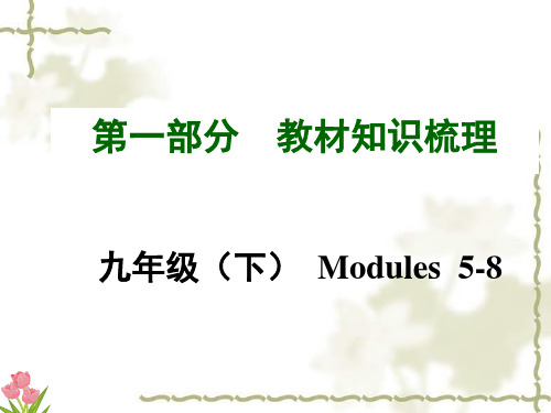 2015年中考英语(安徽,外研版)教材知识梳理九年级(下)Modules5-8课件