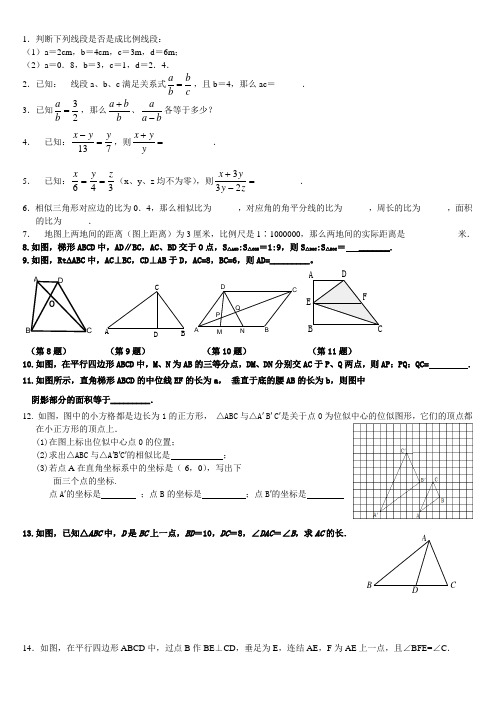 相似和解直角三角形