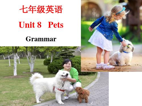 Unit 8 (Grammar) 牛津译林版英语七年级下册