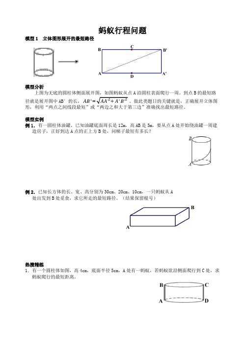 蚂蚁行程问题