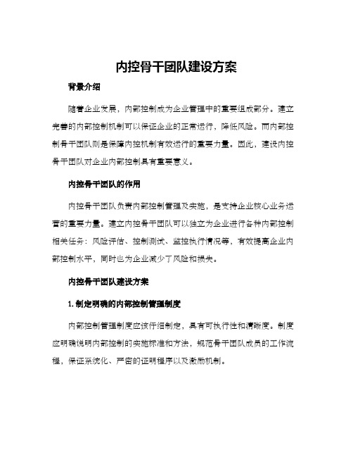 内控骨干团队建设方案