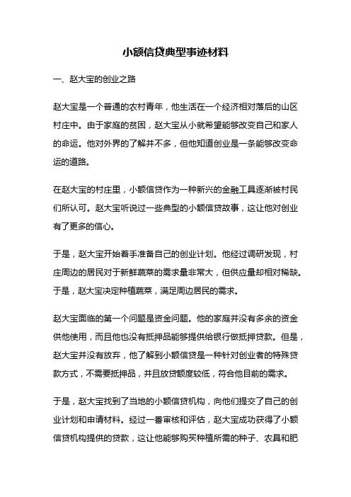 小额信贷典型事迹材料