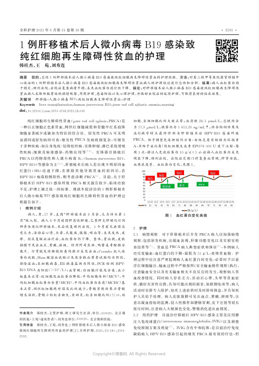 1例肝移植术后人微小病毒B19感染致纯红细胞再生障碍性贫血的护理