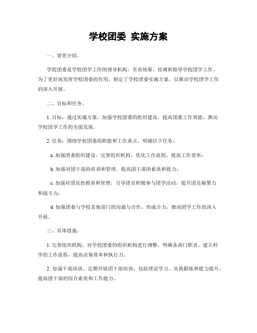 学校团委 实施方案