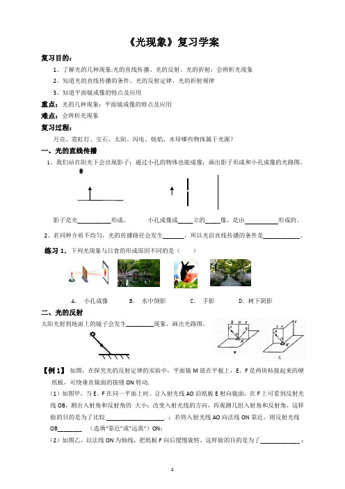 光现象复习学案