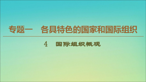 2019_2020学年高中政治专题14国际组织概观课件新人教版选修3