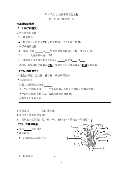 第二章 被子植物的一生习题