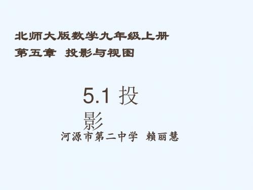 数学北师大版九年级上册《5.1投影》