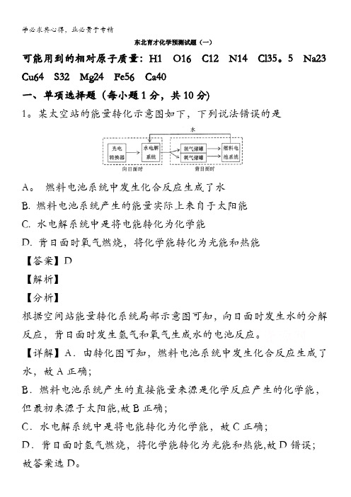 辽宁省沈阳市浑南区东北育才学校2020届高三预测检测(一)化学试题含解析