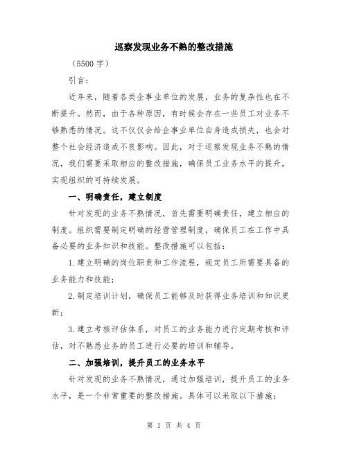 巡察发现业务不熟的整改措施