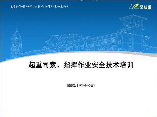 起重司索指挥作业PPT