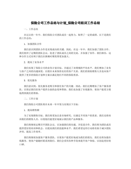 保险公司工作总结与计划_保险公司组训工作总结