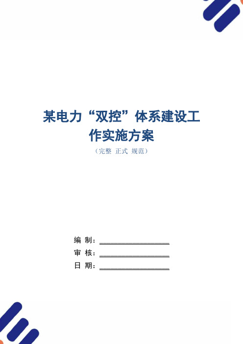 某电力“双控”体系建设工作实施方案(word版)