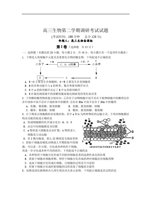 最新-高三生物第二学期调研考试试题 精品