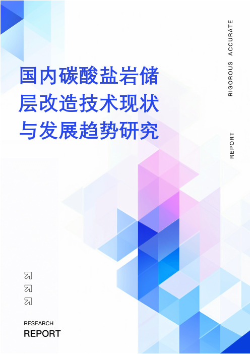 国内碳酸盐岩储层改造技术现状与发展趋势研究2024