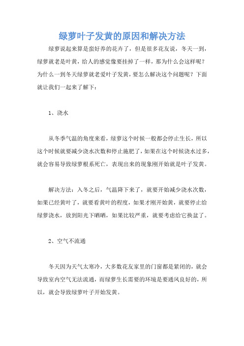 绿萝叶子发黄的原因和解决方法