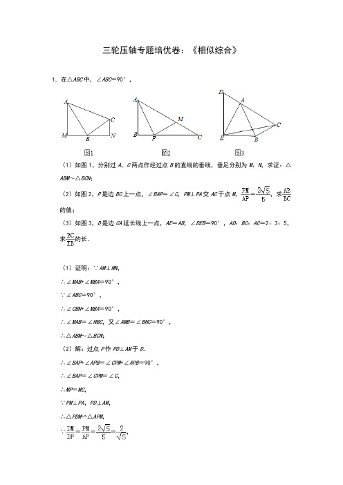 2020年九年级数学中考三轮压轴专题培优卷：《相似综合》(解析版)