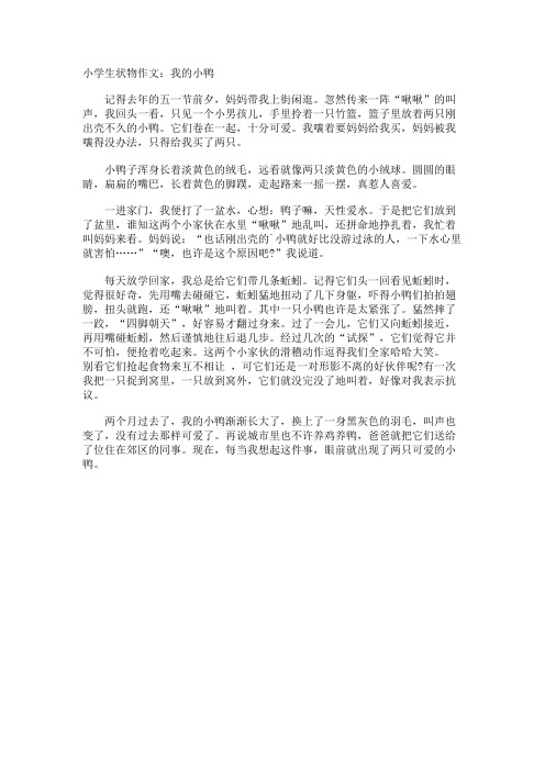 小学生状物作文我的小鸭