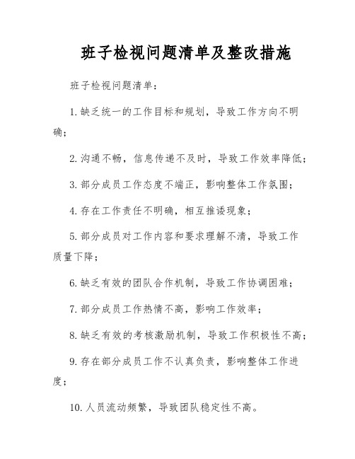 班子检视问题清单及整改措施