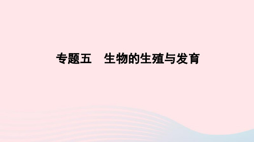 山东省潍坊市中考生物 专题复习五 生物的生殖和发育课件 济南版