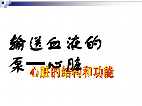 七年级生物下册443输送血液的泵心脏课件新版新人教版