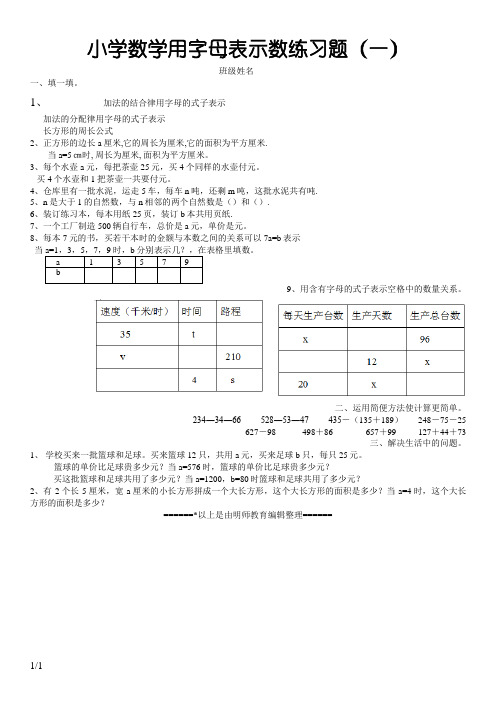 小学数学用字母表示数练习题