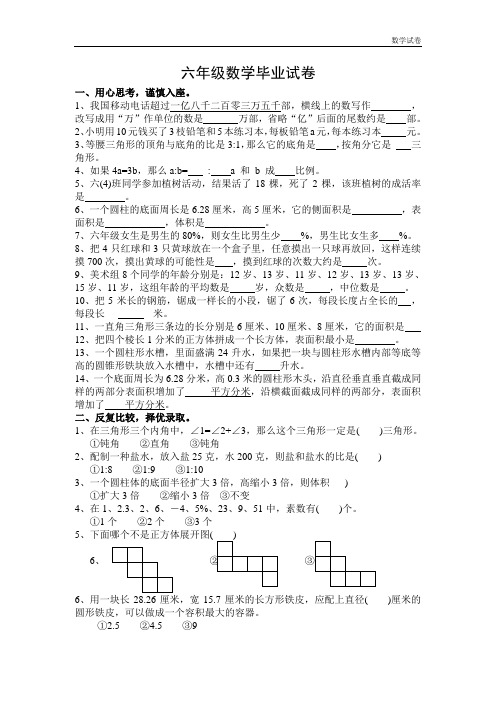 2012年苏教版小学数学毕业班模拟试卷及答案2