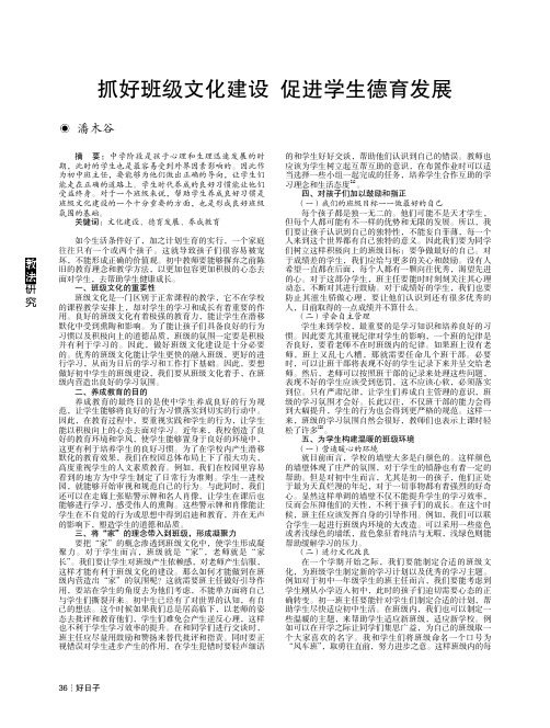 抓好班级文化建设 促进学生德育发展