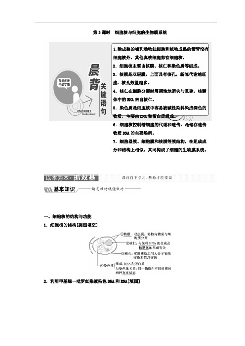 2019-2020学年高中生物苏教版必修1教学案：第三章 第二节 第3课时 细胞核与细胞的生物膜系统 Word版含答案