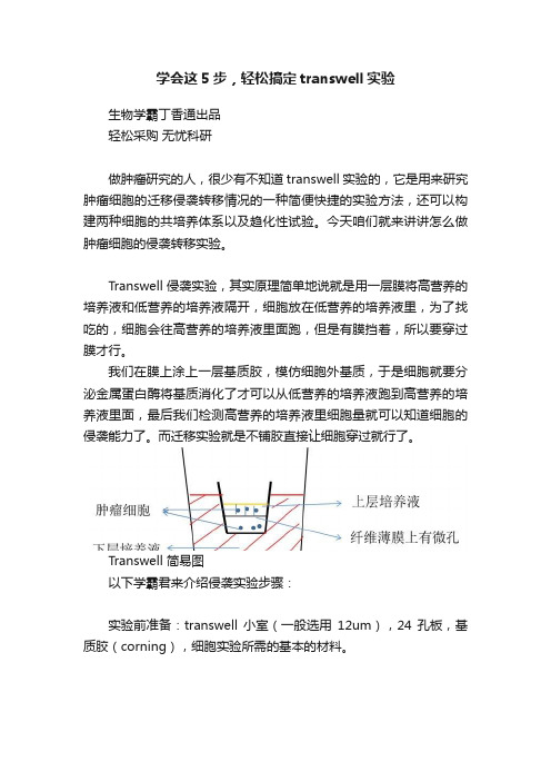 学会这5步，轻松搞定transwell实验