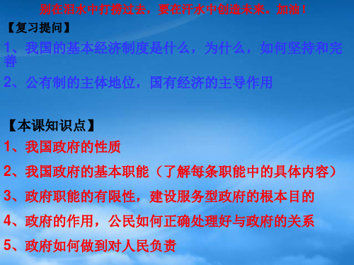 高中政治一轮复习 政治生活第四课课件 新人教必修2