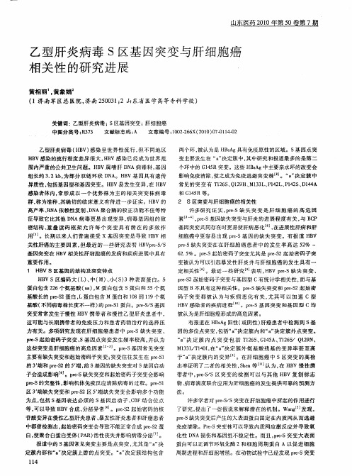 乙型肝炎病毒S区基因突变与肝细胞癌相关性的研究进展