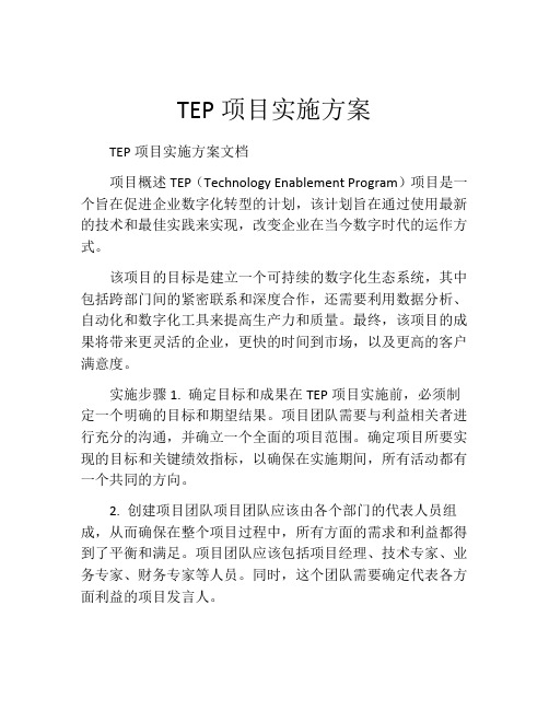 TEP项目实施方案