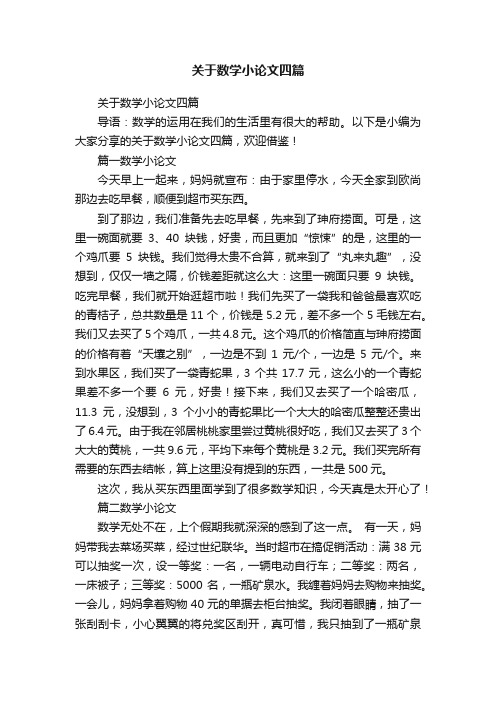 关于数学小论文四篇