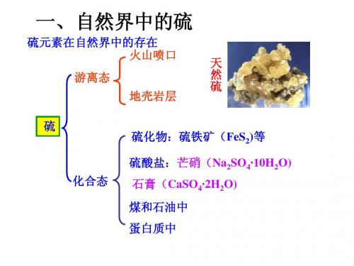 硫的转化(第一课时)鲁科版