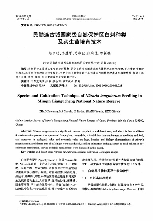 民勤连古城国家级自然保护区白刺种类及实生苗培育技术