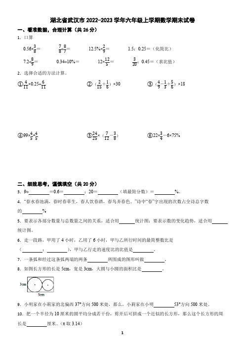 湖北省武汉市2022-2023学年六年级上学期数学期末试卷(含答案)