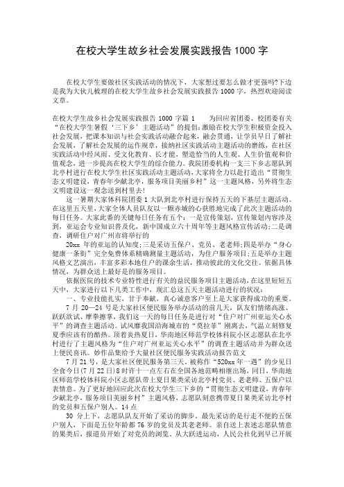 在校大学生故乡社会发展实践报告1000字