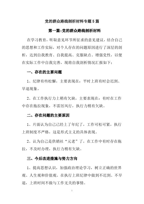 党的群众路线剖析材料专题5篇