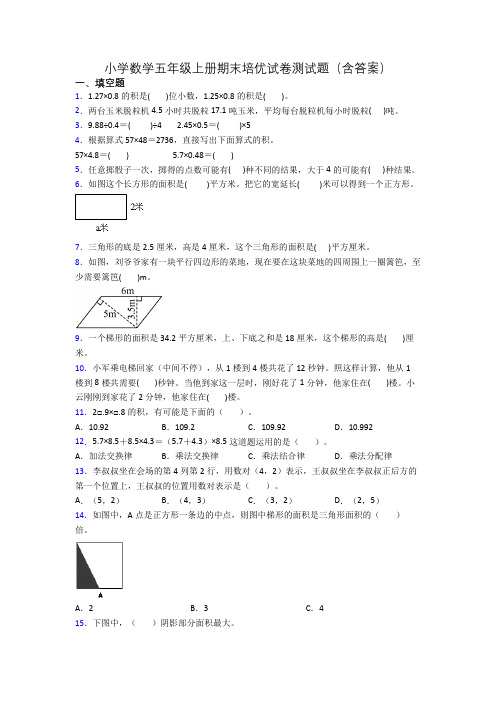 小学数学五年级上册期末培优试卷测试题(含答案)