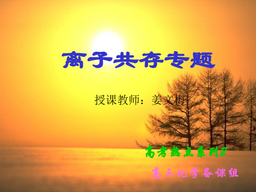 离子共存专题PPT下载