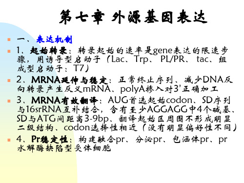 外源基因表达ppt课件