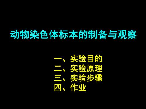 7实验七 动物染色体标本的制备与观察.