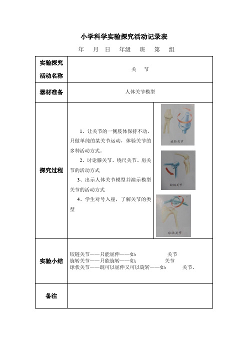 小学科学实验探究活动记录表