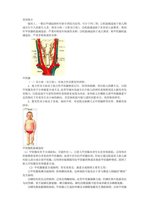 甲减类型简介