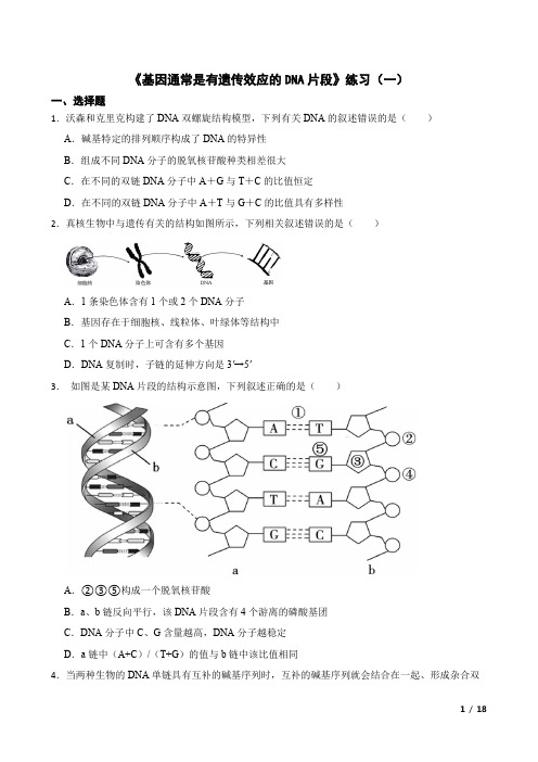 《基因通常是有遗传效应的DNA片段》练习(一)