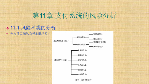 第11章  支付系统的风险分析   《网上支付与结算》  PPT课件