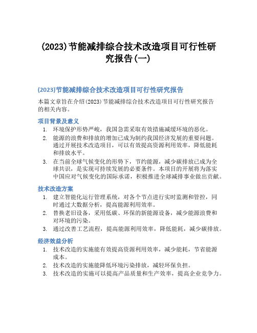 (2023)节能减排综合技术改造项目可行性研究报告(一)